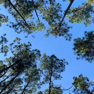 Meet your Posher, Zachary